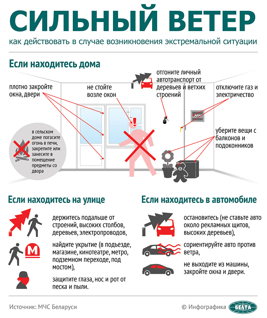 Климовичские спасатели напоминают об опасности из-за сильного ветра |  Климовичи. Новости города и района.