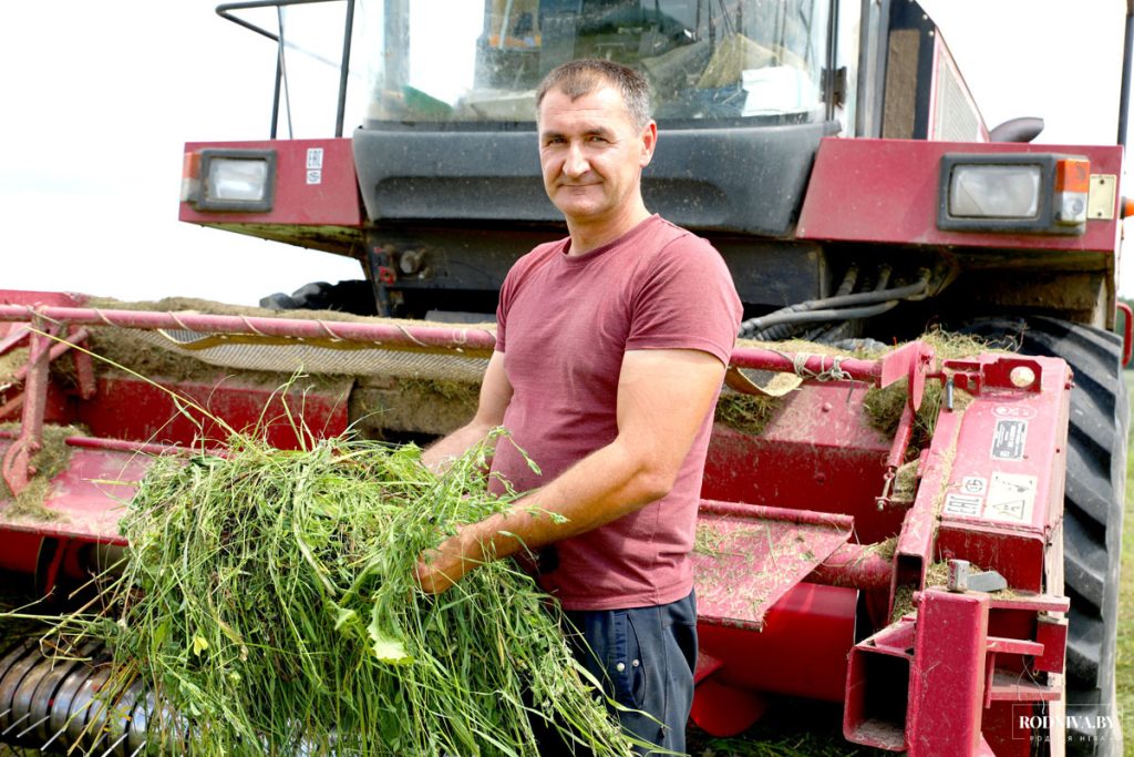 Аграрии ОАО «Племзавод «Тимоново» ведут заготовку травяных кормов