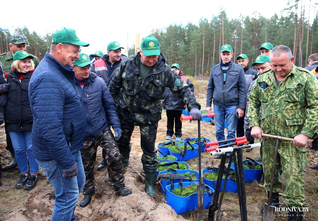 Климовчане присоединились к акции "Дай лесу новае жыццё!"