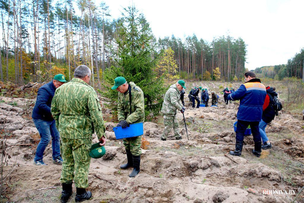 Климовчане присоединились к акции "Дай лесу новае жыццё!"