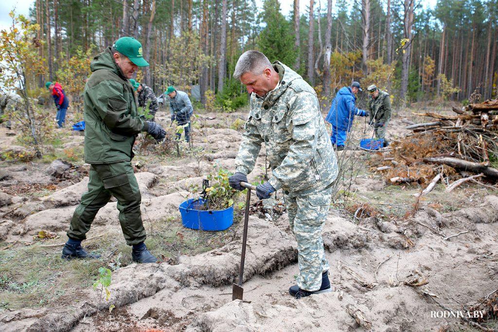 Климовчане присоединились к акции "Дай лесу новае жыццё!"