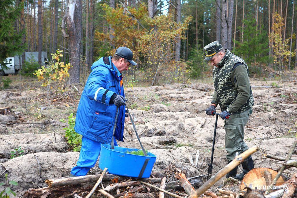 Климовчане присоединились к акции "Дай лесу новае жыццё!"