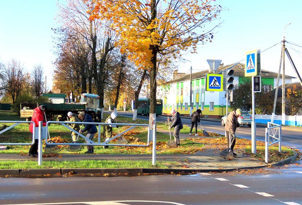 На Климовщине продолжаются работы по благоустройству и наведению порядка на земле