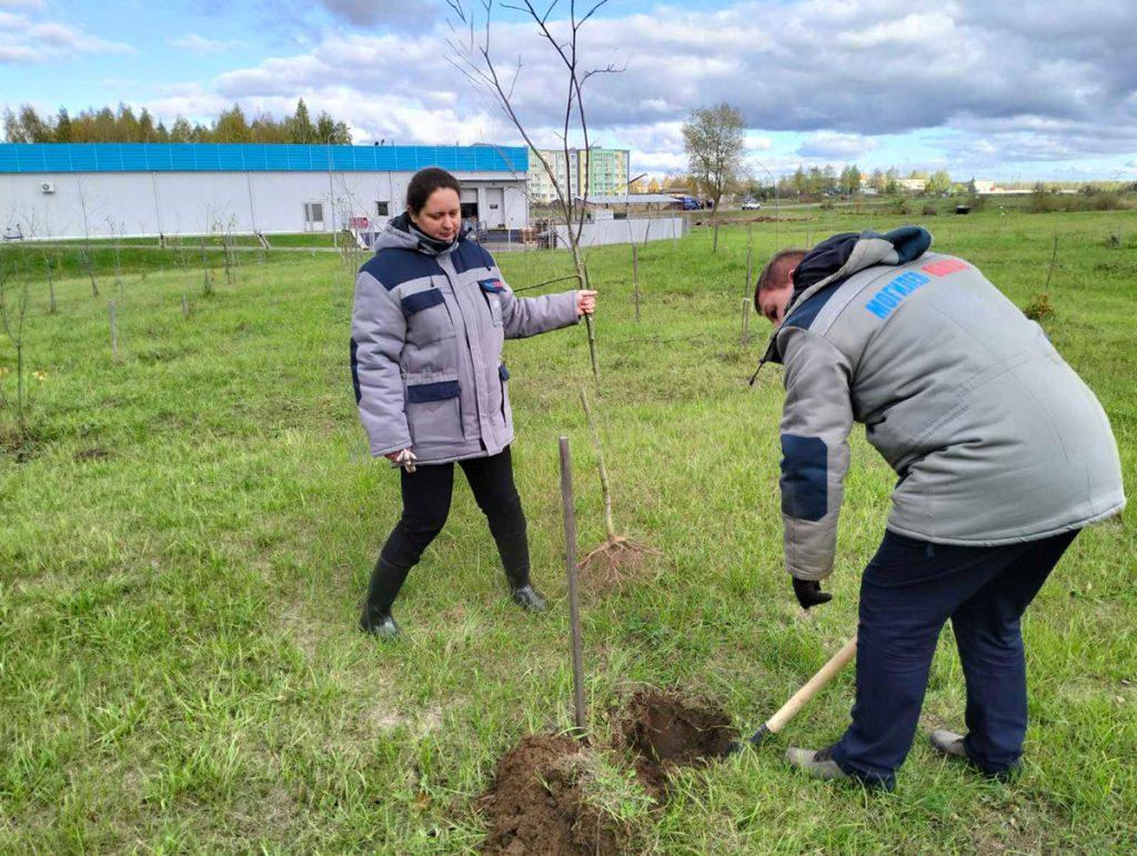 Климовчане участвуют в Едином дне озеленения