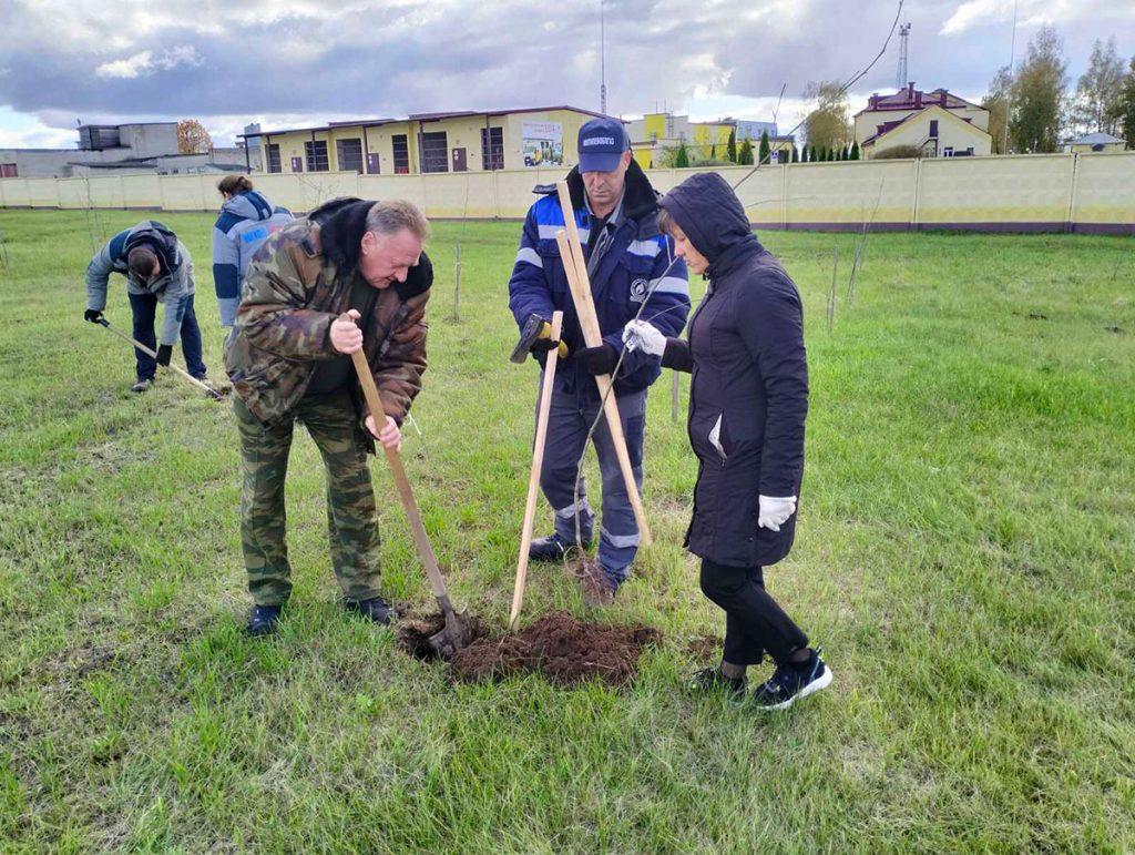 Климовчане участвуют в Едином дне озеленения