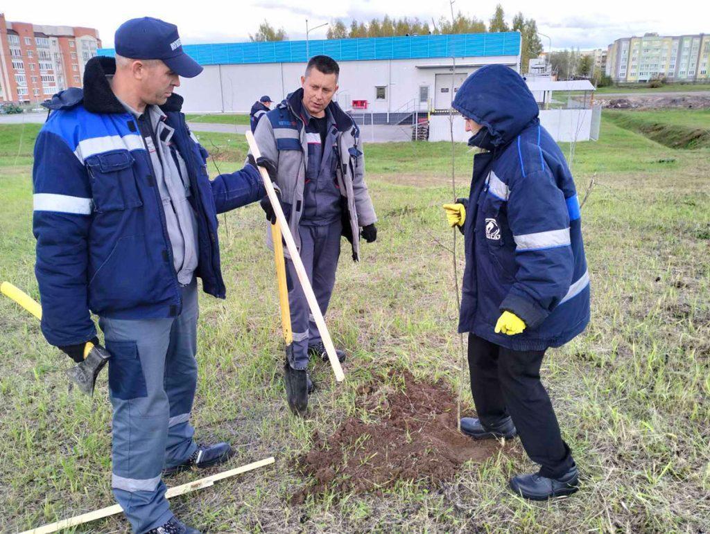 Климовчане участвуют в Едином дне озеленения