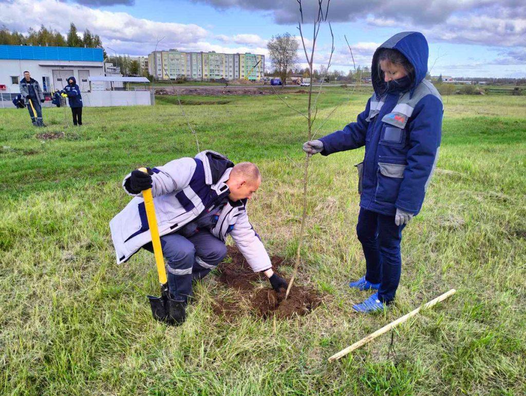 Климовчане участвуют в Едином дне озеленения